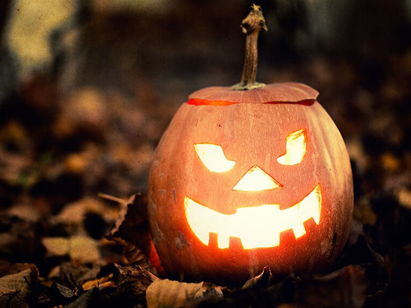 Halloween Sauna: A Spooky Twist on a Relaxing Tradition