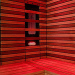 SAUNASNET Steam and Far-infrared Dual-purpose Sauna