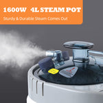 Portable Sauna Steamer 4L Upgrated with Remote Control 110V US Plug Grey